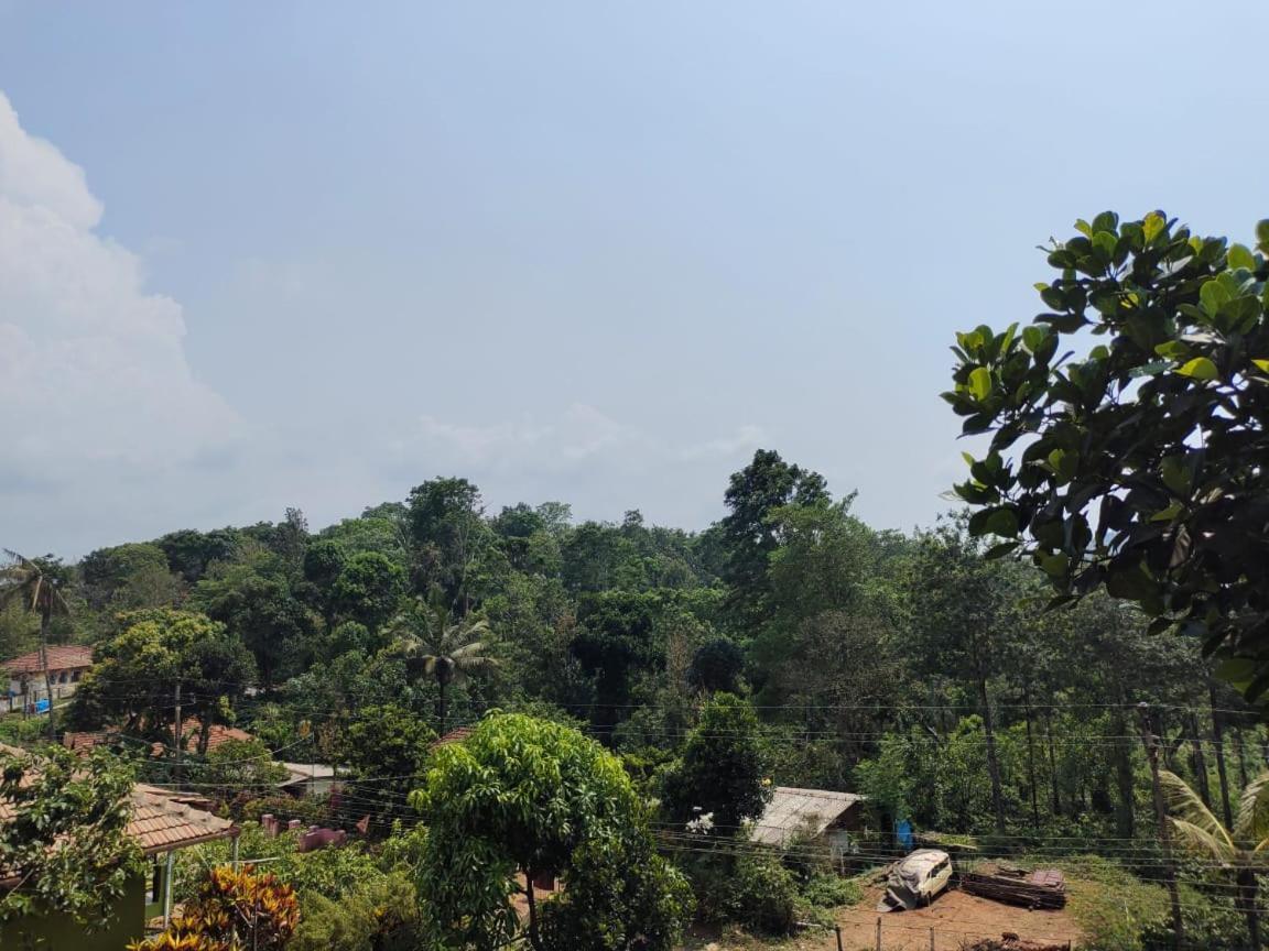 Green Land Estate Homestay 5 Rooms With Garden View Madikeri Exteriör bild