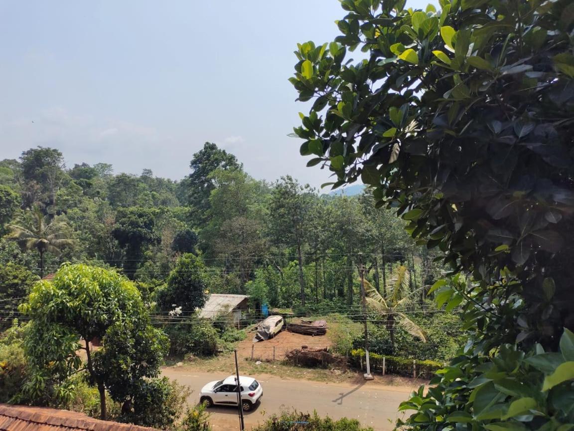 Green Land Estate Homestay 5 Rooms With Garden View Madikeri Exteriör bild