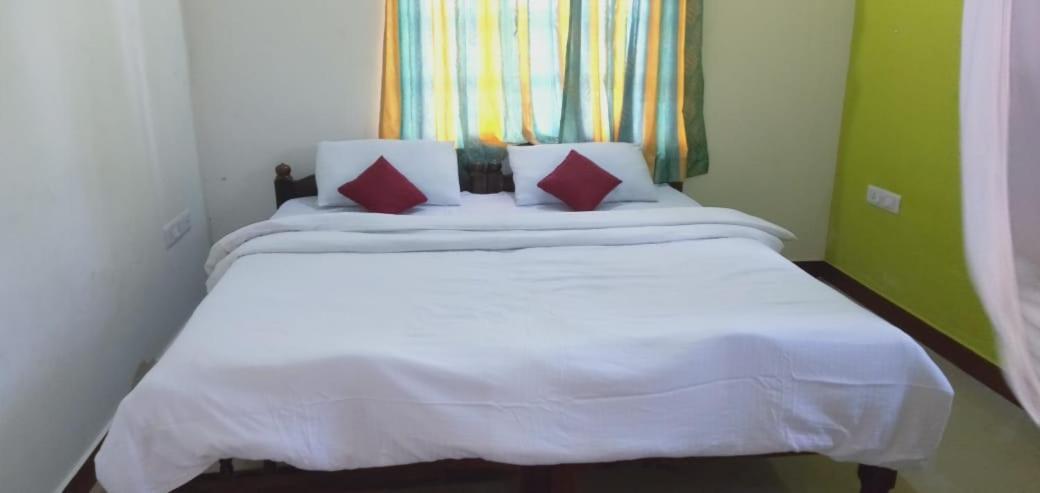 Green Land Estate Homestay 5 Rooms With Garden View Madikeri Exteriör bild