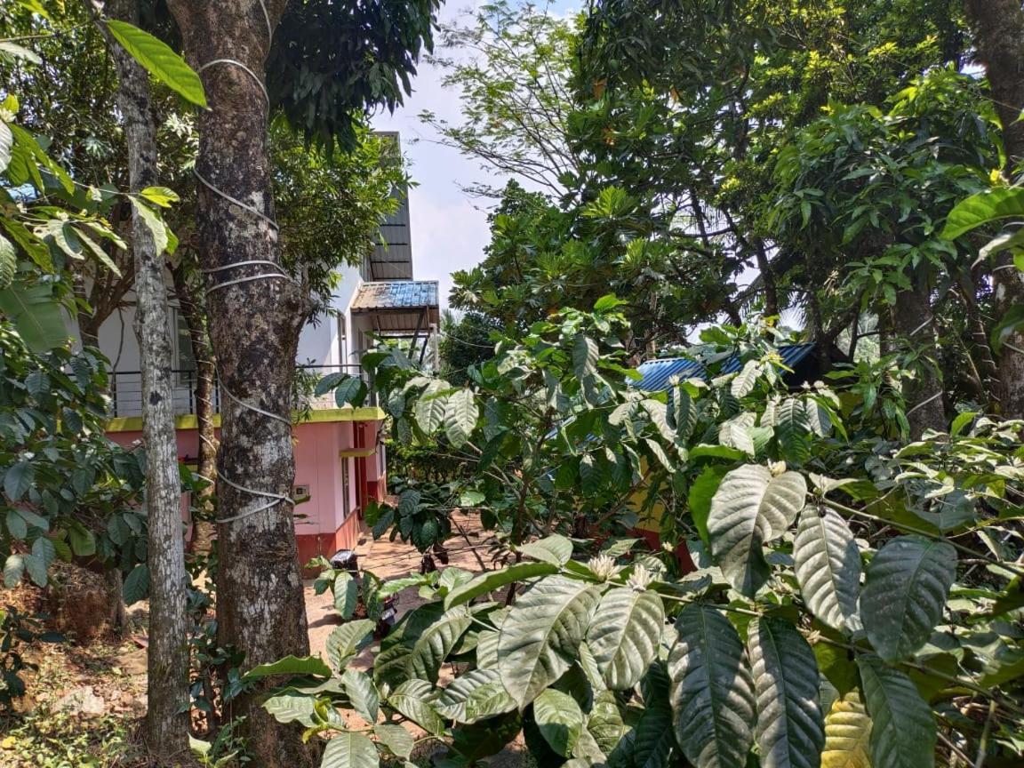 Green Land Estate Homestay 5 Rooms With Garden View Madikeri Exteriör bild