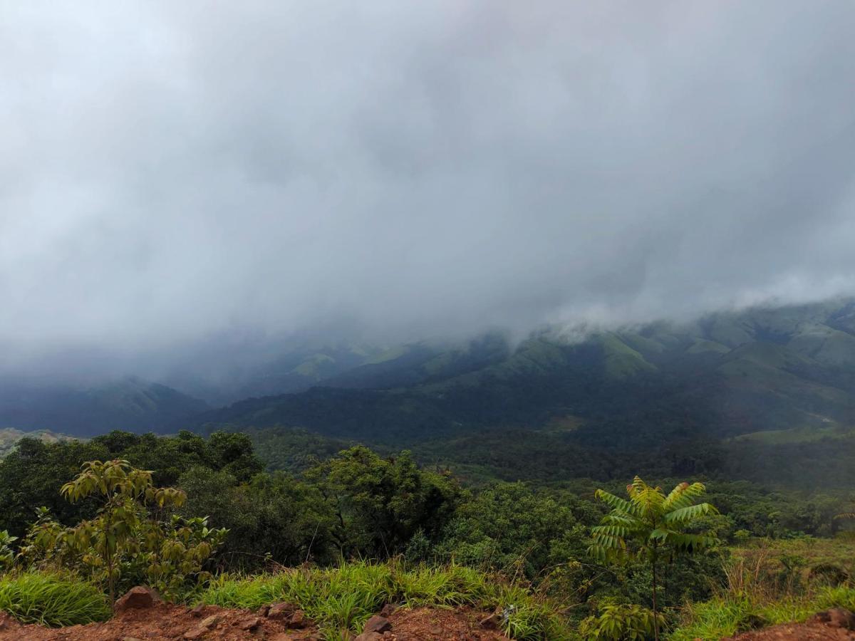 Green Land Estate Homestay 5 Rooms With Garden View Madikeri Exteriör bild